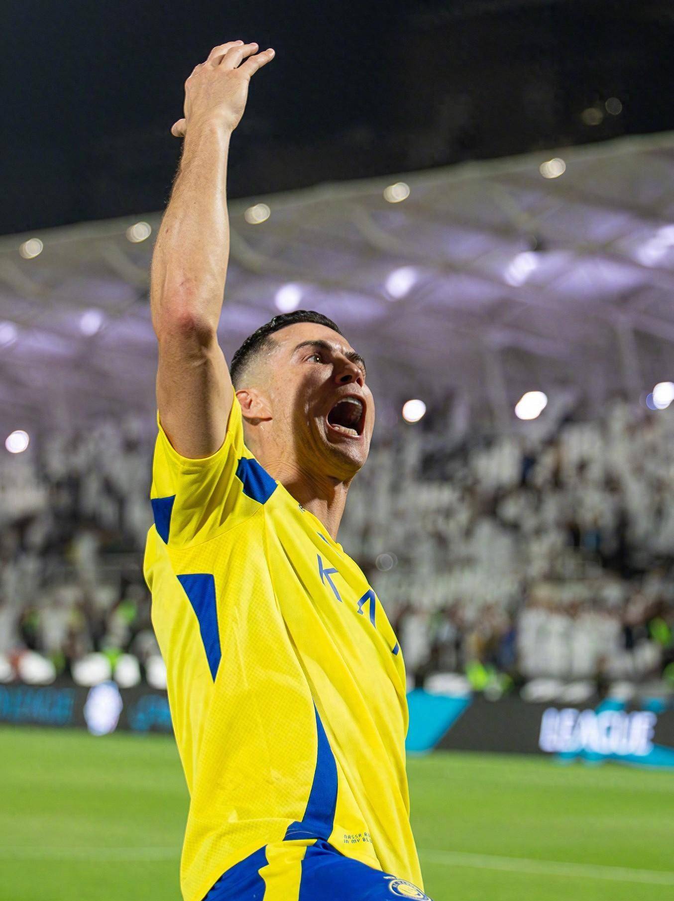 两位老将 两位老将